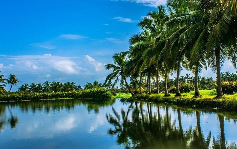 Golden Beach Home Stay Alappuzha Dış mekan fotoğraf